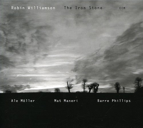 Robin Williamson - Iron Stone