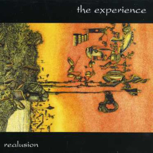 Experience - Realusion