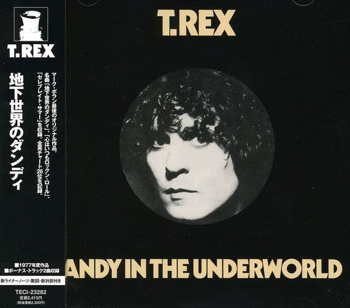 T. Rex - Dandy in the Underworld