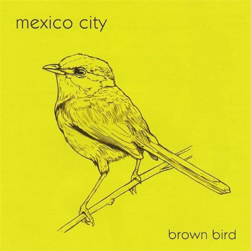 Mexico City - Brown Bird