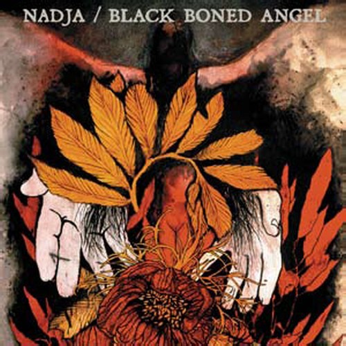 Black Boned Angel - Nadja & Black Boned Angel