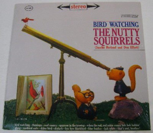 Nutty Squirrels - Bird Watching