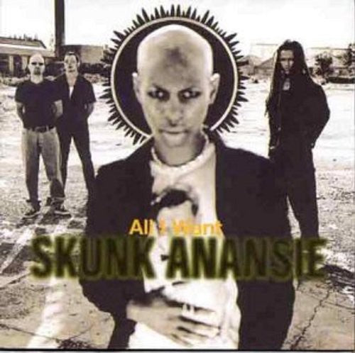 Skunk Anansie - All I Want