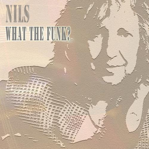 Nils - What The Funk?