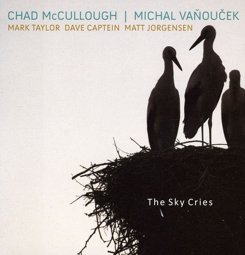 Chad McCullough / Michal Vanoucek - Sky Cries