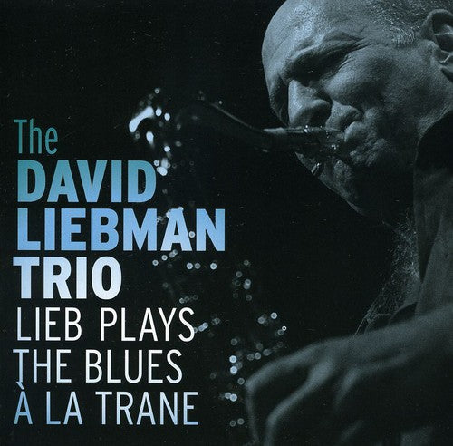 David Liebman - Lieb Plays the Blues a la Trane