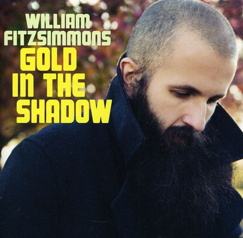 William Fitzsimmons - Gold in the Shadows