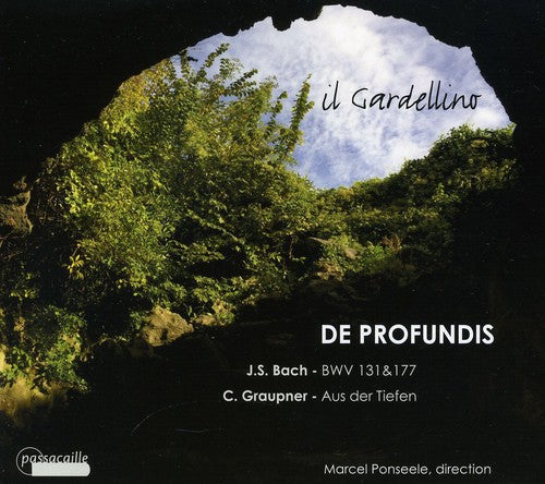 J.S. Bach / Il Gardellino - De Profundis