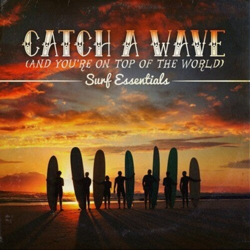 Catch a Wave/ Var - Catch a Wave / Various