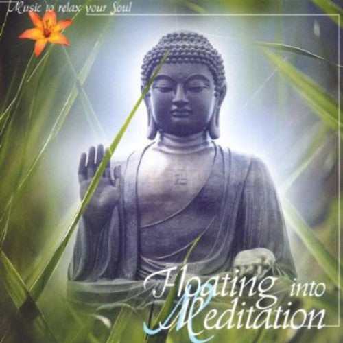 Floating Into Meditation - Floating Into Meditation