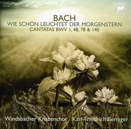 Windsbacher Knabenchor - Bach J.S: Cantatas