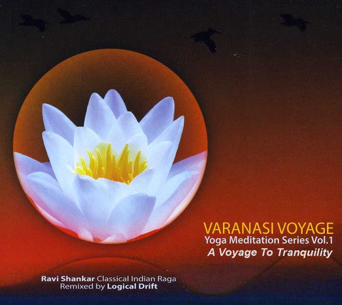 Ravi Shankar / Logical Drift - Varanasi Voyage