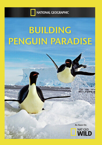 Building Penguin Paradise