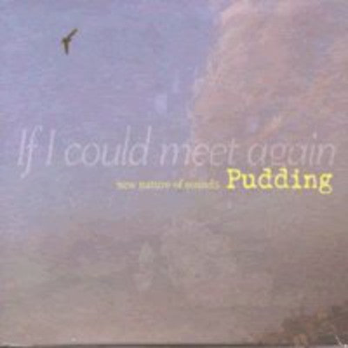 Pudding - New Nature of Sounds