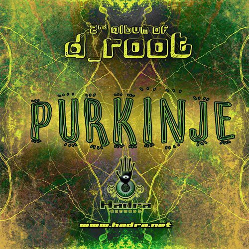 D Root - Purkinje