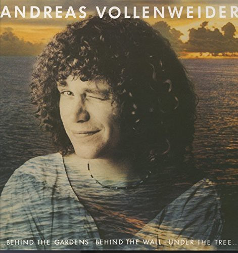 Andreas Vollenweider - Behind the Gardens