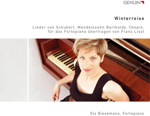 Liszt/ Schubert/ Chopin/ Biesemans - Winterreise