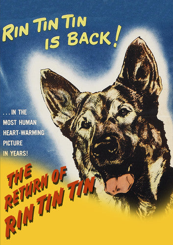 Return of Rin Tin Tin