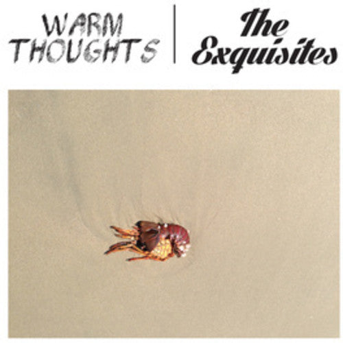 Warm Thoughts/ Exquisites - Split