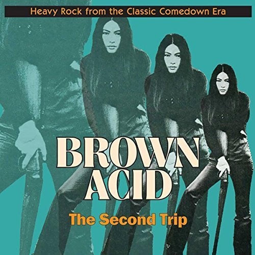 Brown Acid: Second Trip/ Various - Brown Acid: Second Trip (Various Artists)