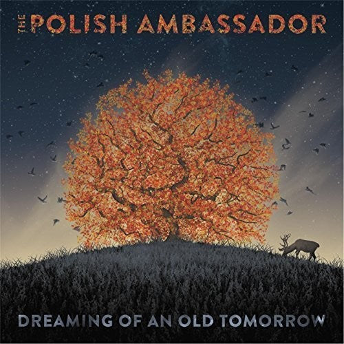 Polish Ambassador - Dreaming of An Old Tomorrow