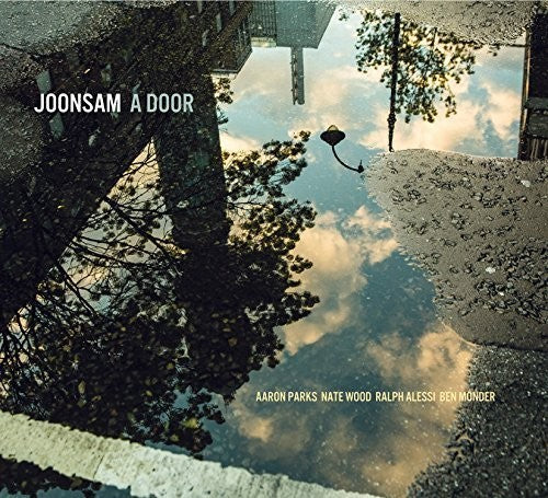 Joonsam - Door