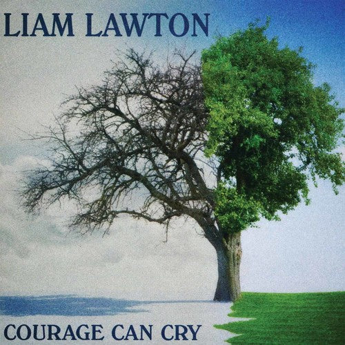 Liam Lawton - Courage Can Cry