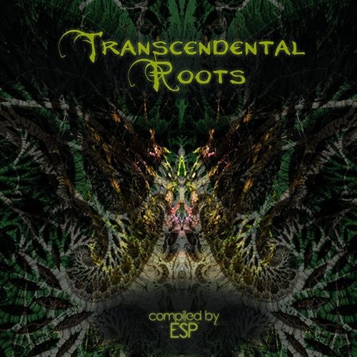 Transcendental Roots/ Various - Transcendental Roots / Various