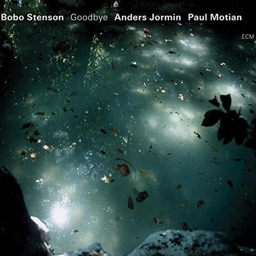 Stenson/ Jormin/ Motia - Goodbye