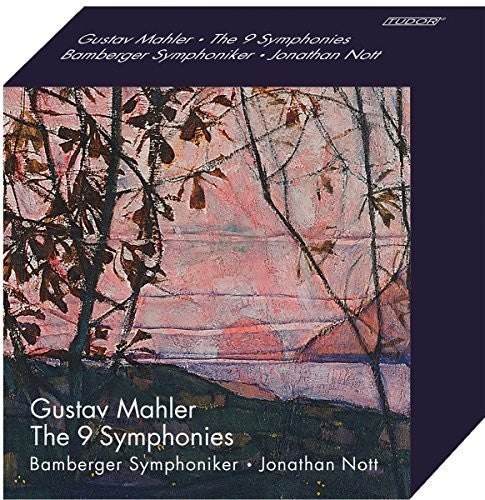 Mahler/ Symphoniker/ Braun - Mahler: The 9 Symphonies