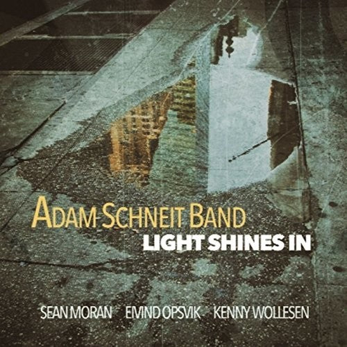 Adam Schneit - Light Shines In