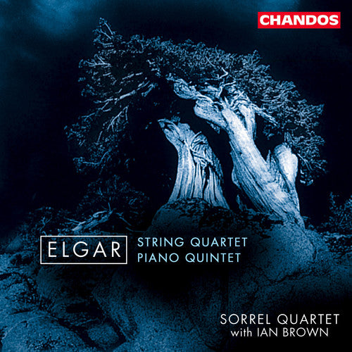 String Quartet / Quintet for Piano & Strings