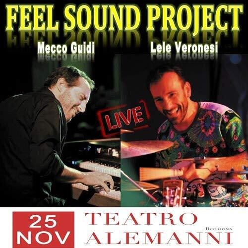 Mecco Guidi / Lele Veronesi / Feel Sound Project - Teatro Alemanni 25 Novembre 2016