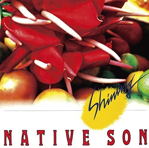 Native Son - Shining