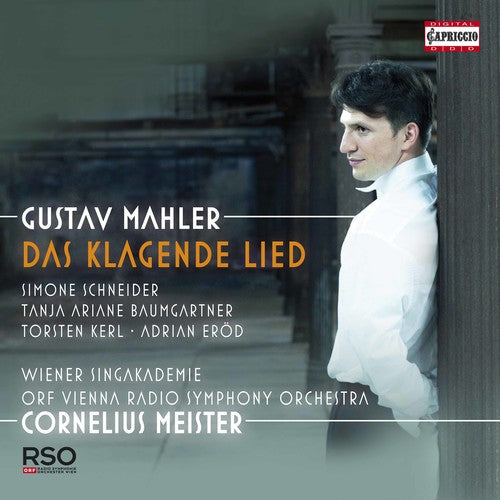 Mahler/ Schneider/ Meister - Das Klagende Lied