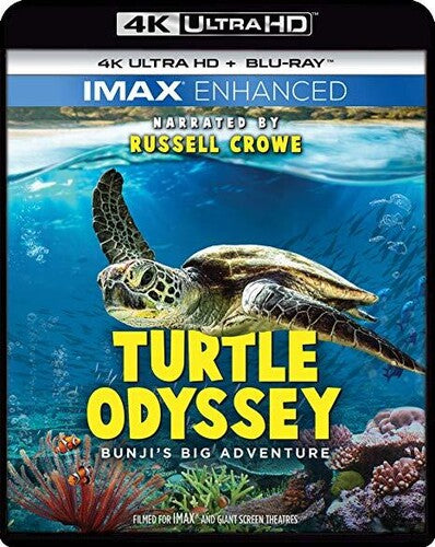 Turtle Odyssey