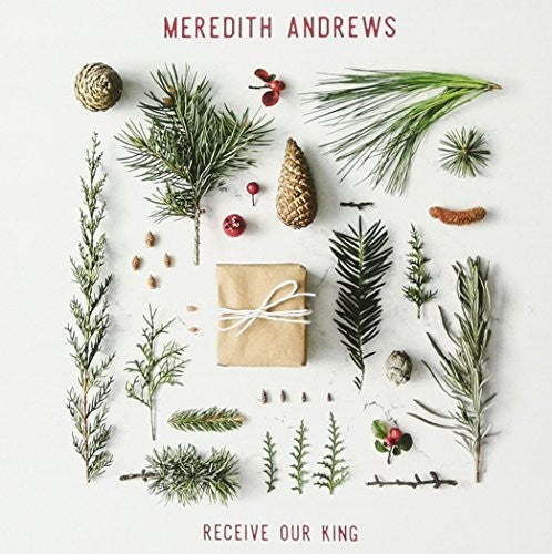 Meredith Andrews - Receive Our King