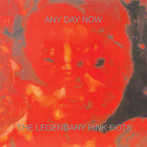 Legendary Pink Dots - Any Day Now