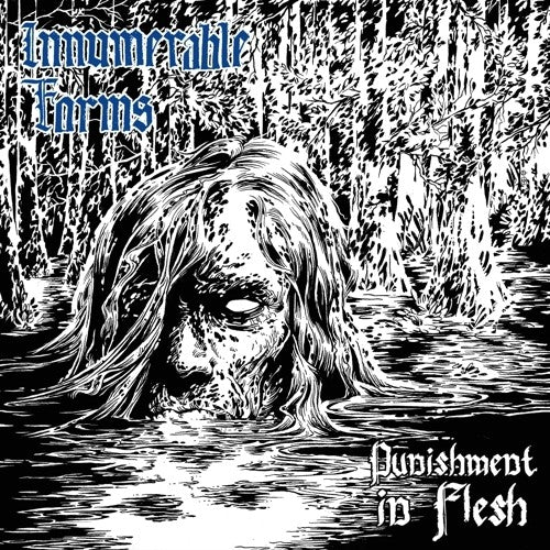 Innumerable Forms - Punishment In Flesh