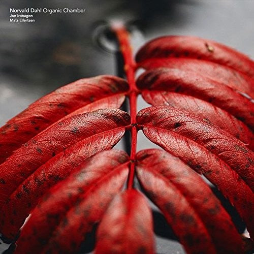 Norvald Dahl / Jon Irabagon / Mats Eilertsen - Norvald Dahl Organic Chamber