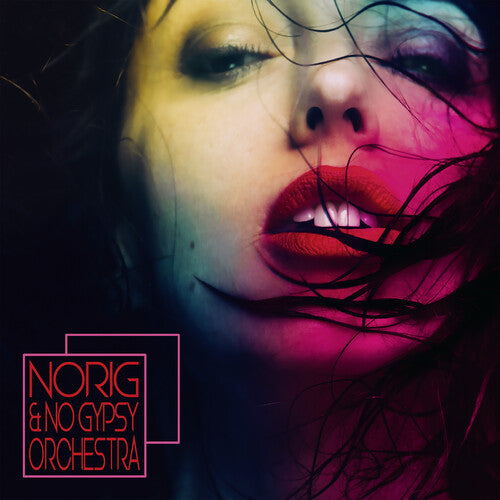 Norig & No Gypsy Orchestra/ Various - Norig & No Gypsy Orchestra