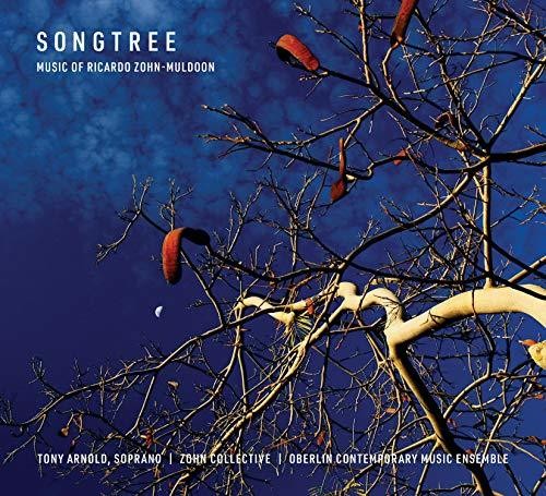 Muldoon/ Brown - Songtree