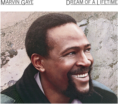 Marvin Gaye - Dream Of A Lifetime