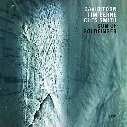 David Torn / Tim Berne / Ches Smith - Sun Of Goldfinger