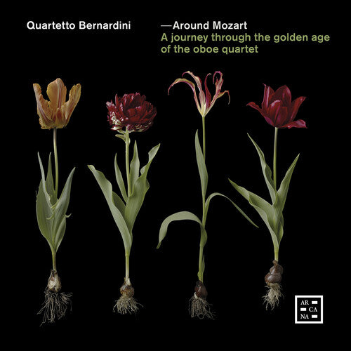 Around Mozart/ Various - Around Mozart