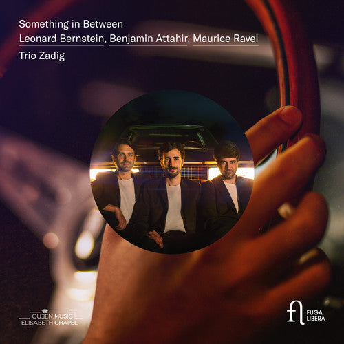 Attahir/ Zadig Trio - Something in Between