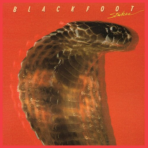 Blackfoot - Strikes