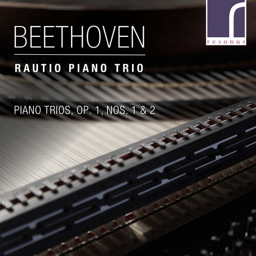 Beethoven/ Rautio Piano Trio - Piano Trios 1 1 & 2