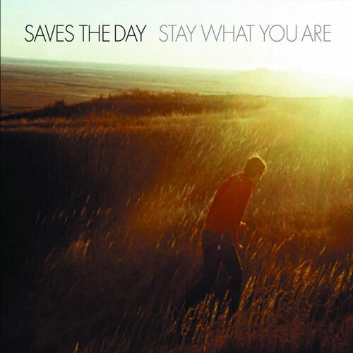 Saves the Day - Stay What You Are - 10-Inch Vinyl