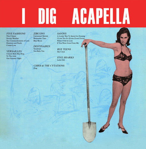 Various Artists - IDigAcappella(2023Remaster)